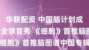 华联配资 中国脑计划成果“组团”全球首秀 《细胞》首推脑图谱中国专辑