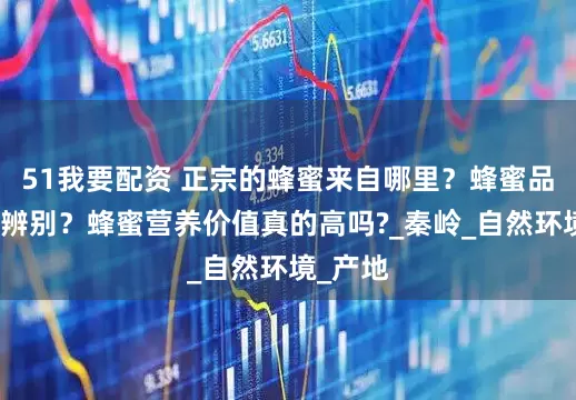 51我要配资 正宗的蜂蜜来自哪里？蜂蜜品质怎么辨别？蜂蜜营养价值真的高吗?_秦岭_自然环境_产地