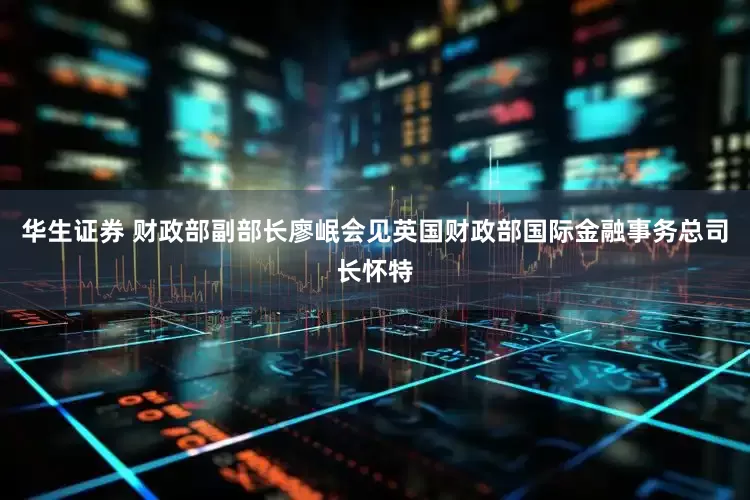 华生证券 财政部副部长廖岷会见英国财政部国际金融事务总司长怀特